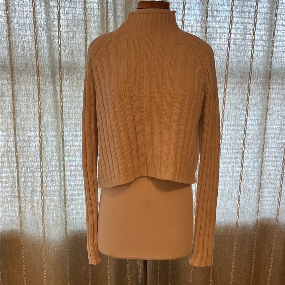 American Eagle Outfitters Tan Turtleneck Sweater
